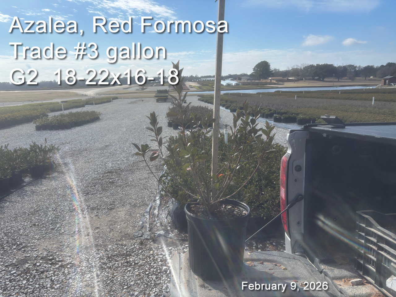 gallery/rf3t g2 feb9.jpg